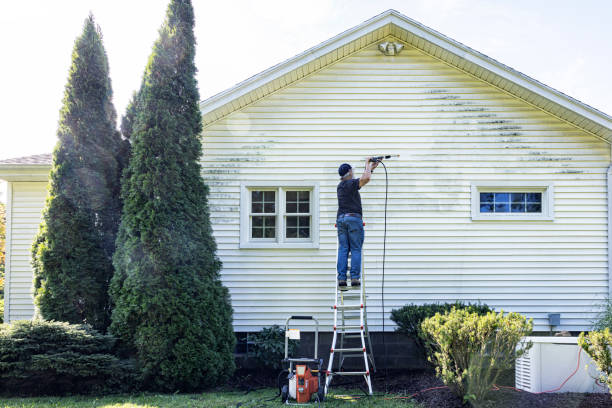 Best Graffiti Removal  in Boulevard Gardens, FL