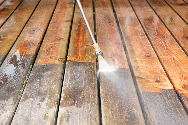 Best Dumpster Area Cleaning  in Boulevard Gardens, FL